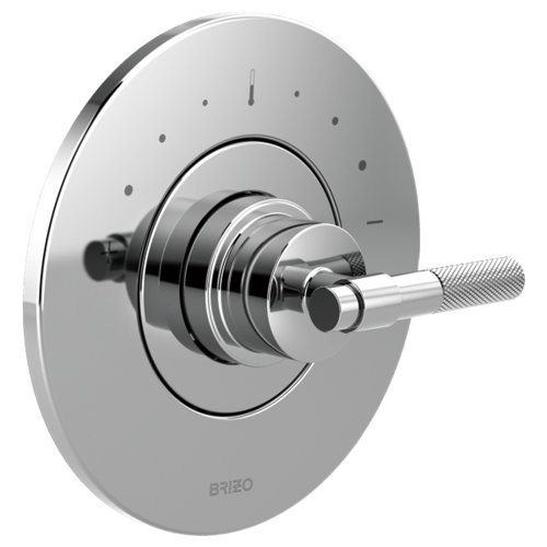 Brizo Litze® Slide Bar Multi Function Handheld Shower Head Perigold